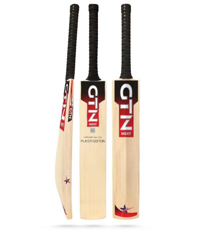 kashmir willow tennis cricket bat