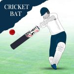fiber cricket bat