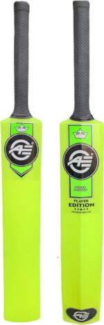 hard plastic cricket bat